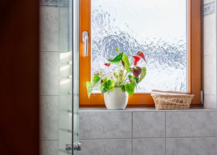 Xl Lejlighed Piesendorf